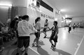 Basket 443067